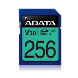 SD 256GB SECURE DIGITAL XC PREMIER CLASS10 UHS-I U3 V30 100/80MB/s